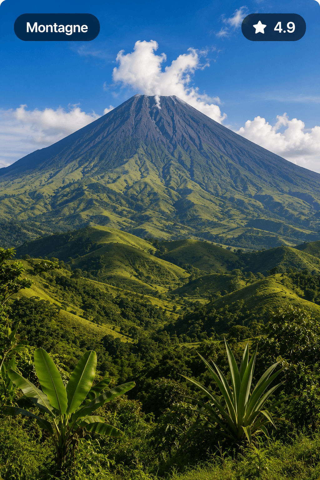 Mont Cameroun